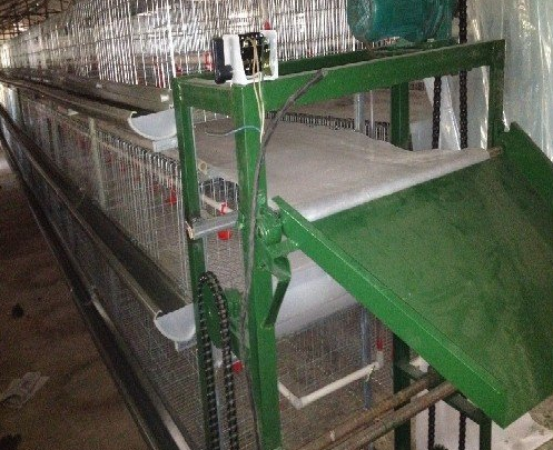 蛋鸡装备传送带式清粪机常见的这些问题你都知道吗？？