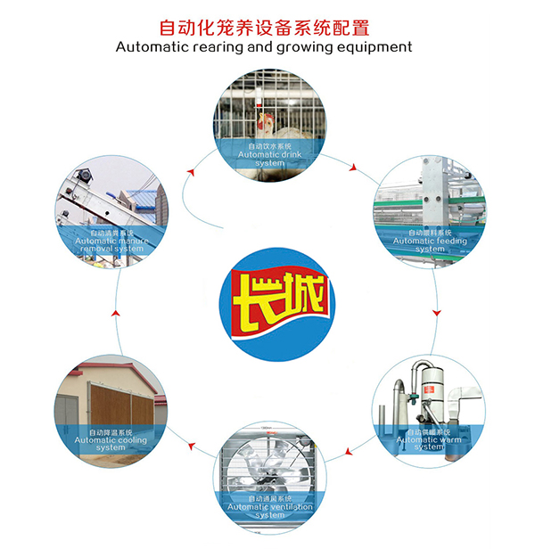 肉鸡自动饮水系统