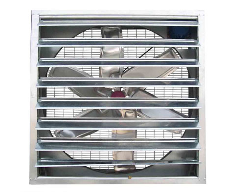 怎样确保蛋鸡装备有用透风？？